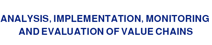 Analysis, implementation, monitoring and evaluation of value chains